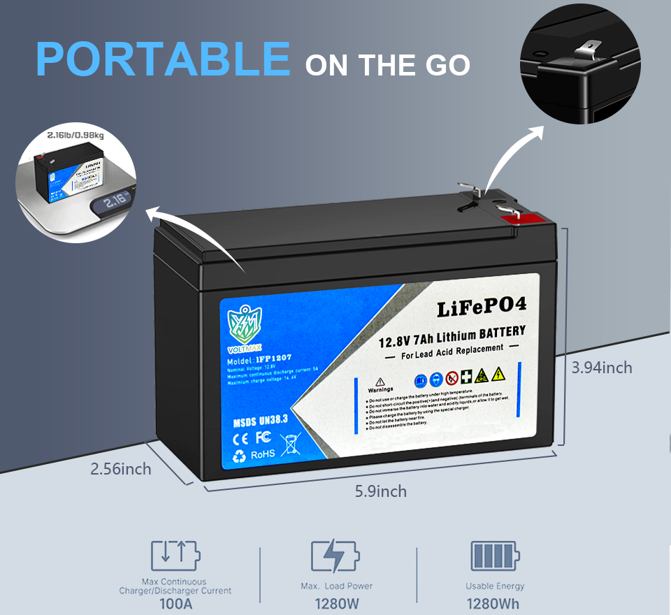 12V/24V LiFePO4 Battery Packs